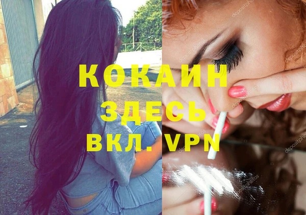 apvp Белокуриха