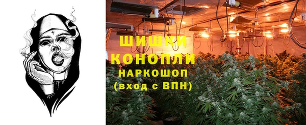 спайс Галич