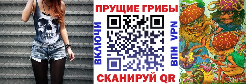 Галлюциногенные грибы GOLDEN TEACHER  Лыткарино 