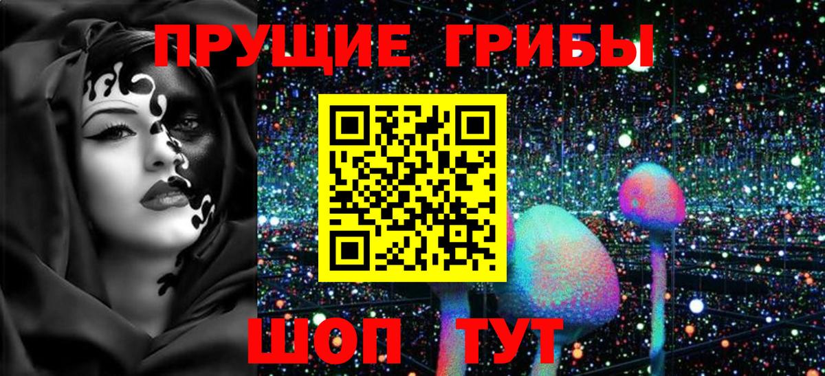 Галлюциногенные грибы Psilocybine cubensis Лыткарино