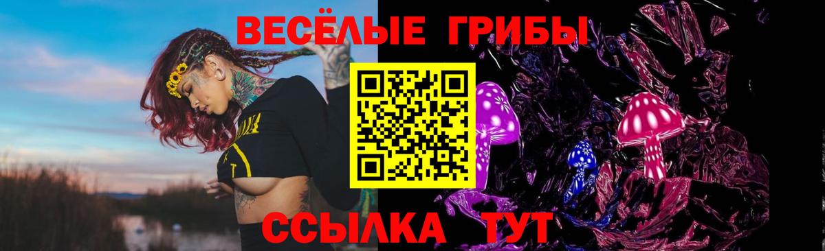 Лыткарино  Псилоцибиновые грибы Magic Shrooms  Вход с VPN 